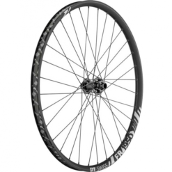 DT Swiss FR 1950 Classic 30 Vorderrad 29 Zoll 20x110 + 15x100mm