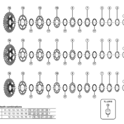 Shimano 105 CS-5800 Kassette Ersatzteil | Verschlussring 5 Shimano 105 CS-5800 Kassette Ersatzteil | Verschlussring -SCHALTWERKE 56499 1
